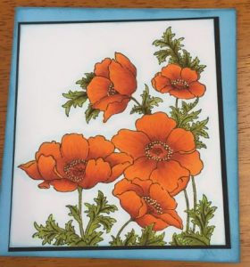 Teresa Orange Poppy